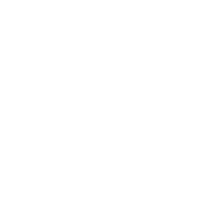 ZF LEMFORDER